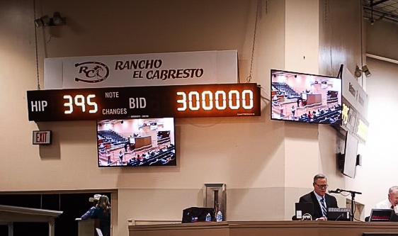 Ruidoso Success: Solo Select Arrives with $300,000 Colt, Grosses Nearly 4 Million