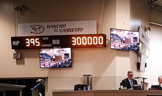 Ruidoso Success: Solo Select Arrives with $300,000 Colt, Grosses Nearly 4 Million