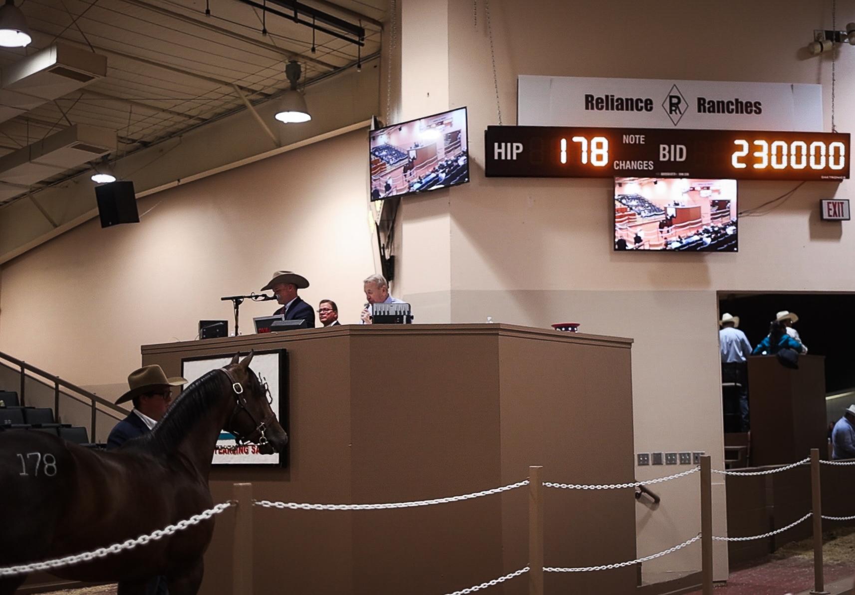 Solo Select Consignments Shine with $230,000 Top Sale, 8 Exceed $100,000