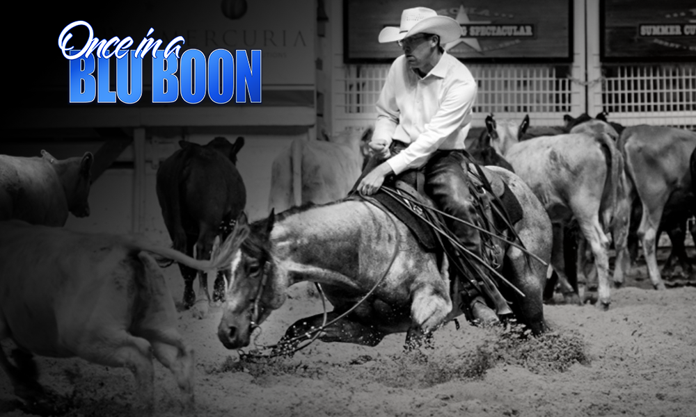 The Next Chapter Begins: $14.5M Sire Once In A Blu Boon Joins Solo Select Roster