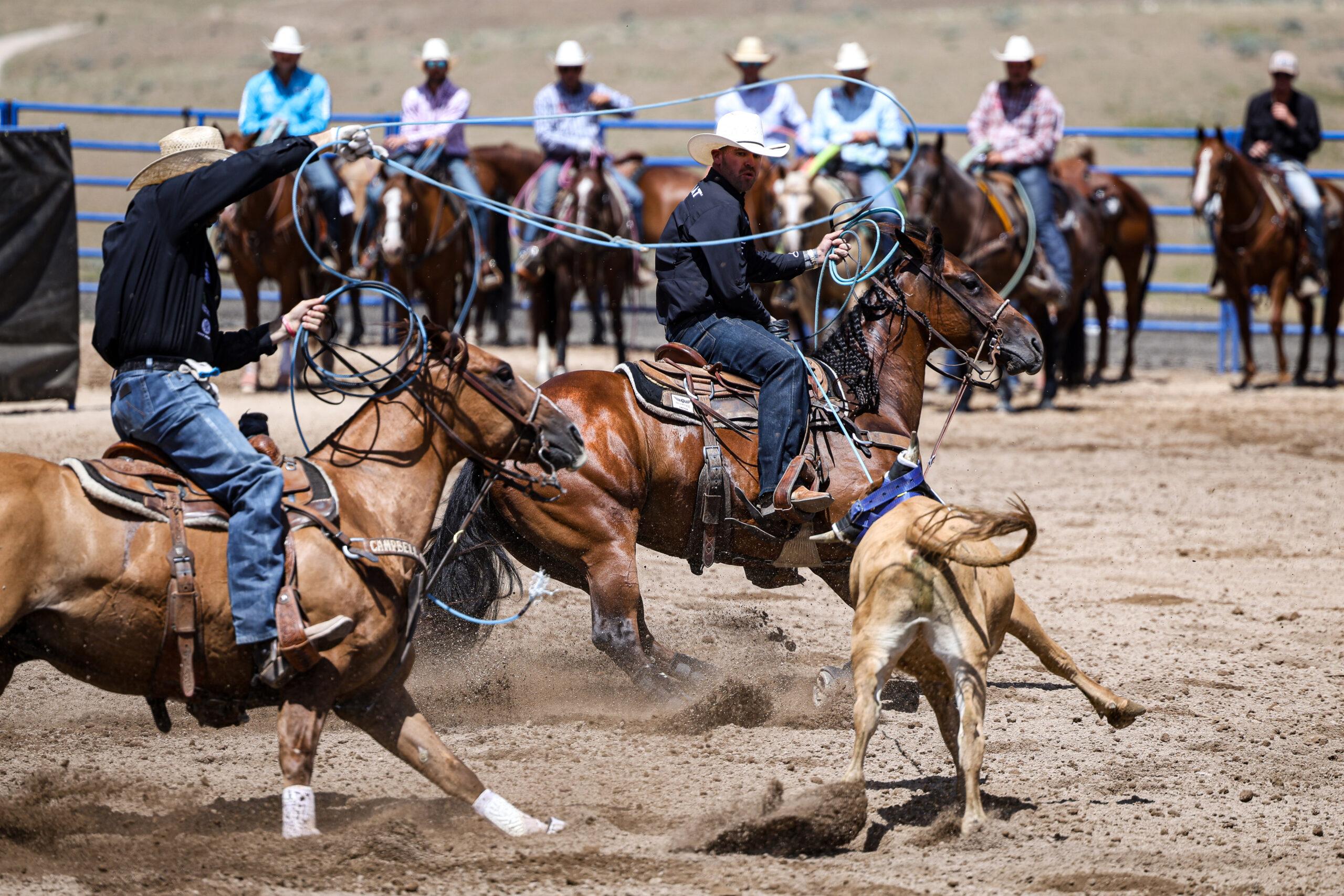 Relentless PYC and Miles Baker Triumph at the Inaugural Old West Roping Futurity