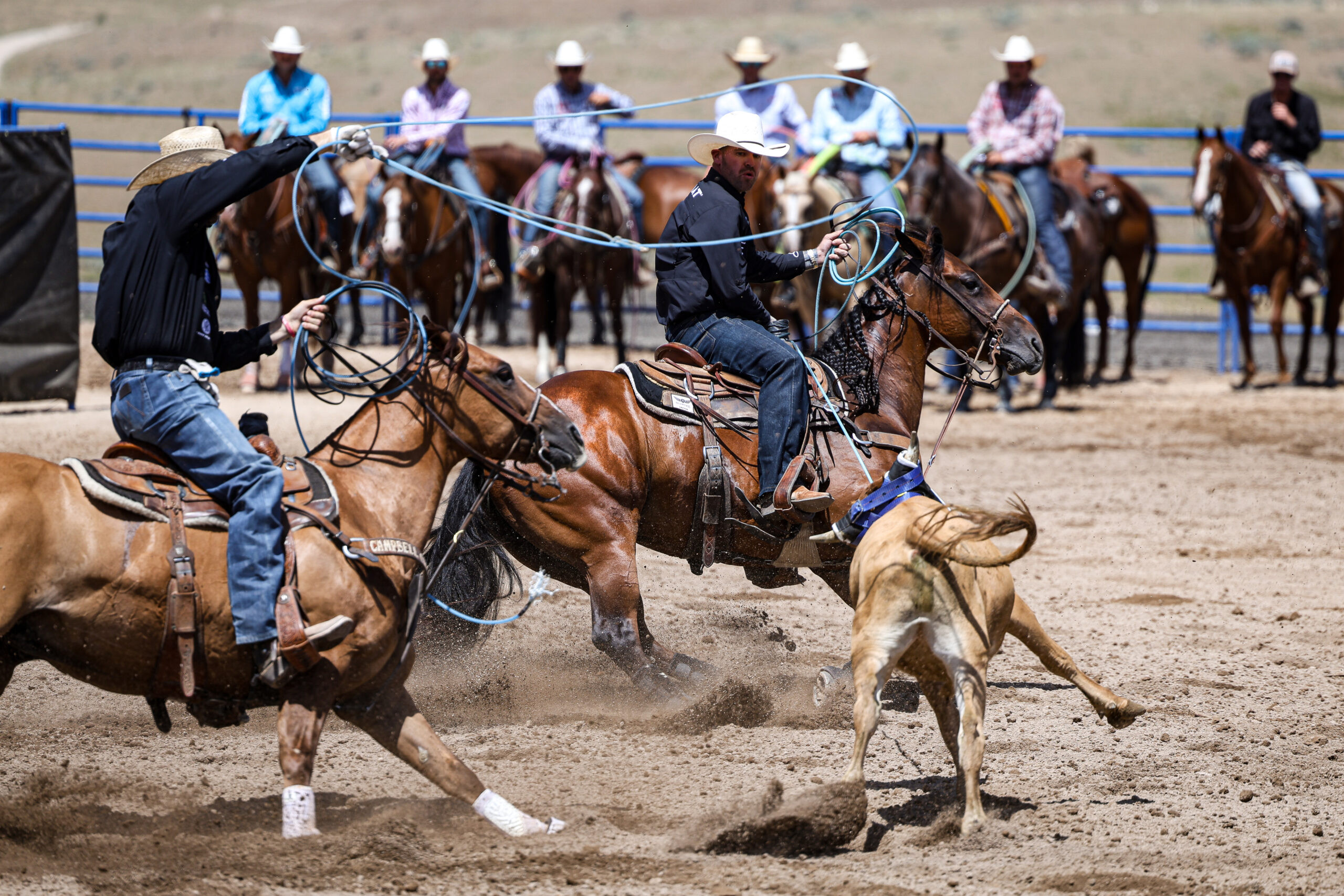 Relentless PYC and Miles Baker Triumph at the Inaugural Old West Roping Futurity