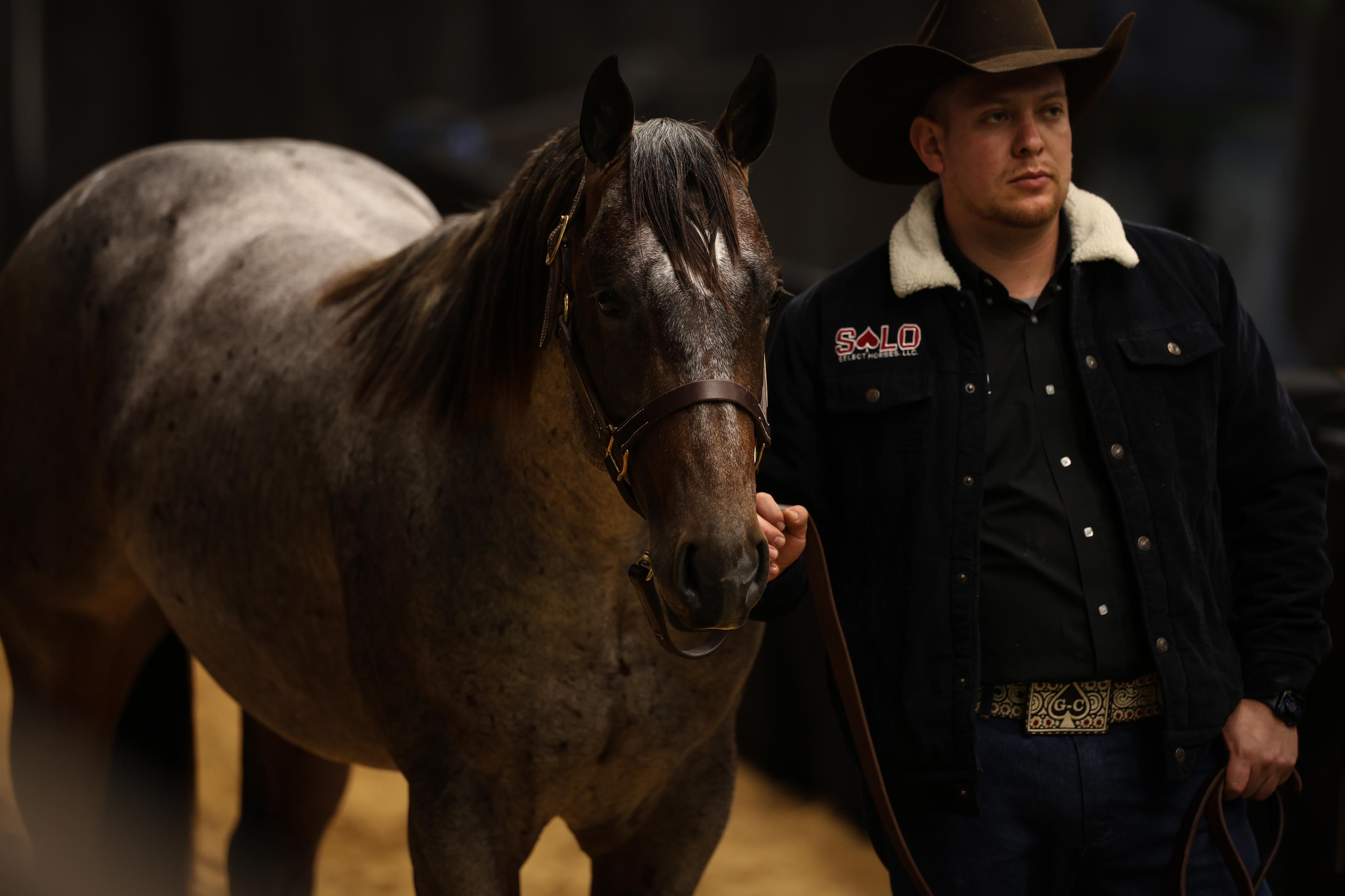 $500,000 High Seller Leads Solo Select to $3.1M in Sales at NCHA Futurity
