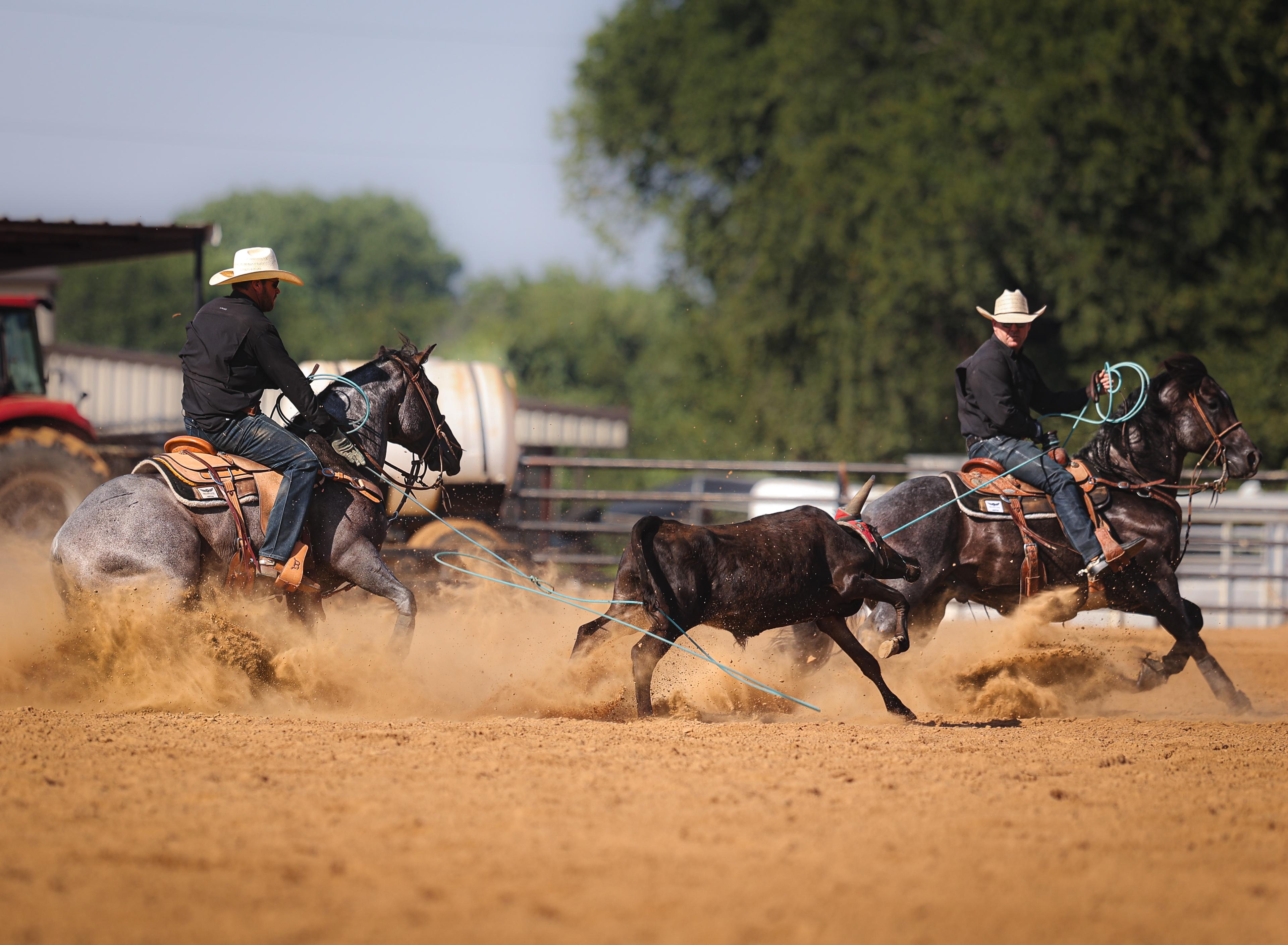 $400,000 on the Line: Solo Select Futurity Entries Closing Soon