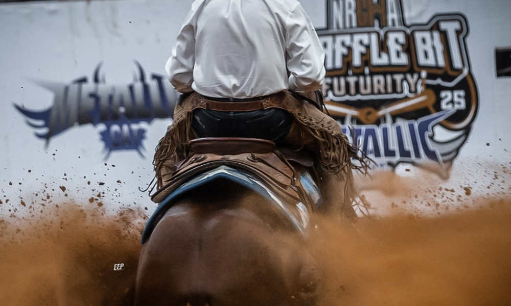 Tuff to Beat: Five Woody Be Tuff Offspring Make the 2025 Open Snaffle Bit Futurity Finals