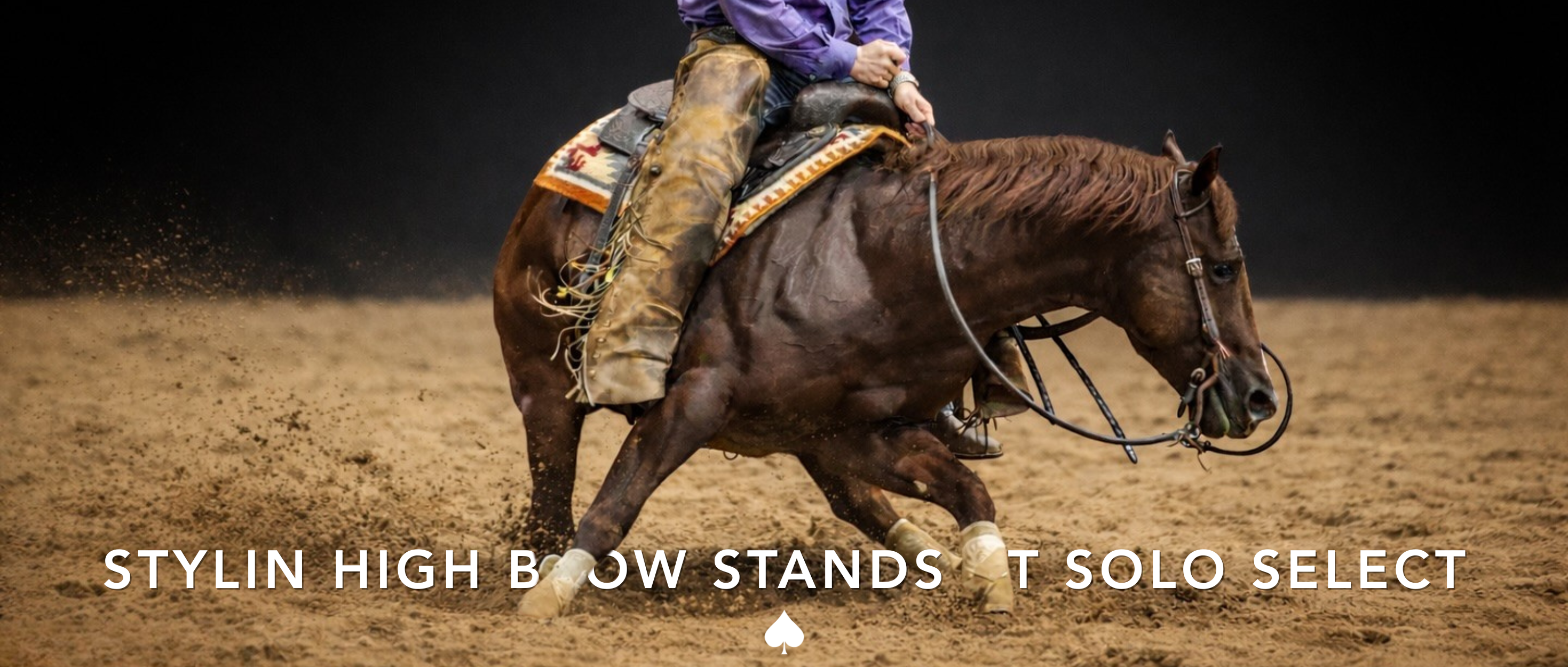 Stylin High Brow—Now Standing at Solo Select—Surpasses $200K in Lifetime Earnings