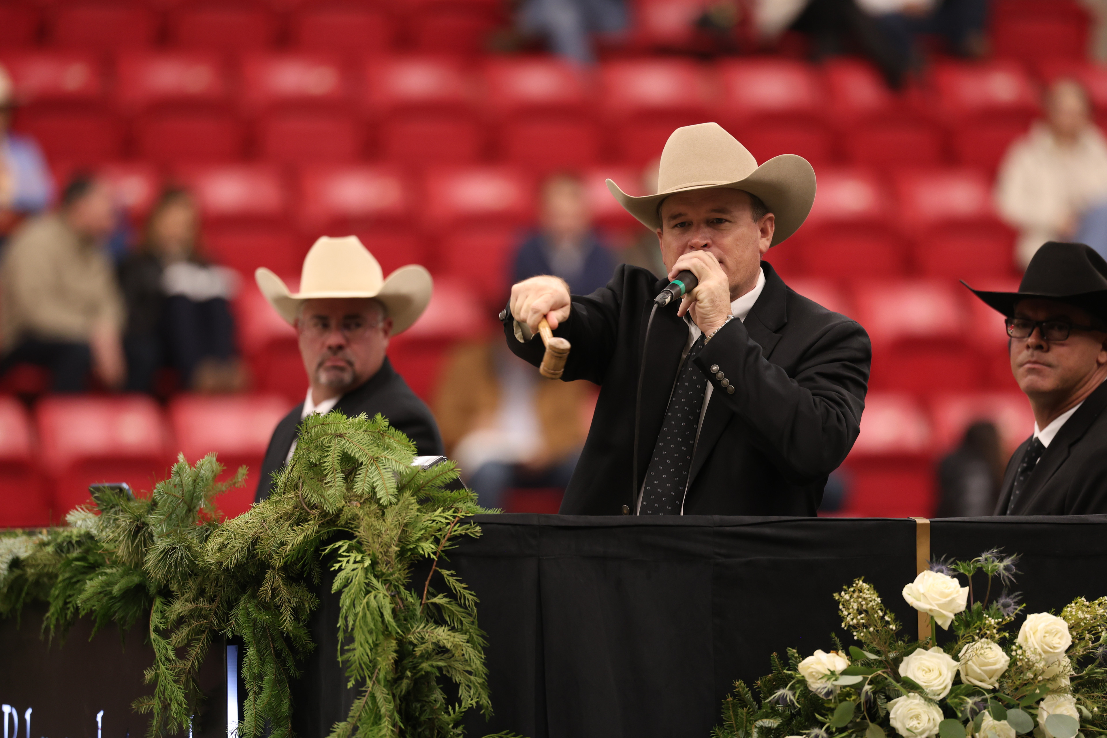 Third Edge Offspring Prove a Reliable Investment in 2025 NCHA Futurity Sale