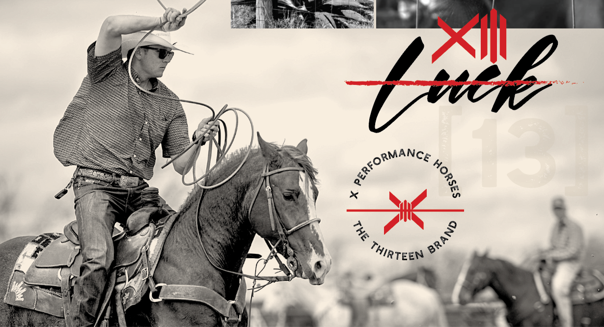 Elevating the Standard: X Performance Horses Joins Elite Roster of Solo Select Futurity Sponsors