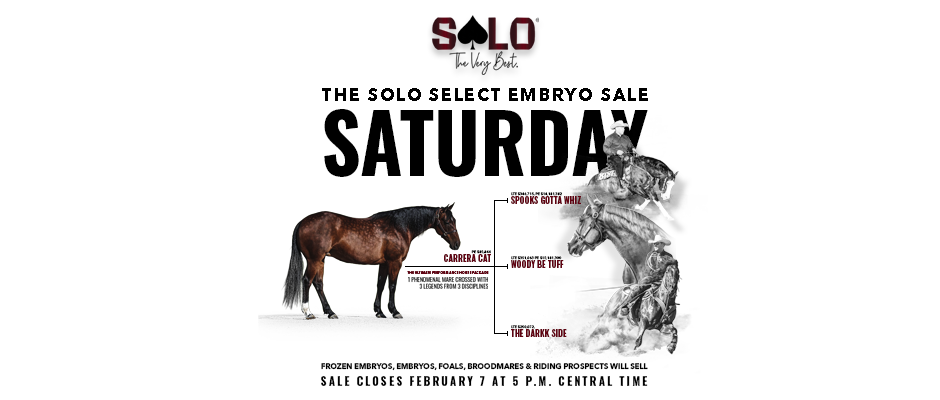 Shift Your Breeding Season Into High Gear Feb. 7 with Solo Select Embryo Sale