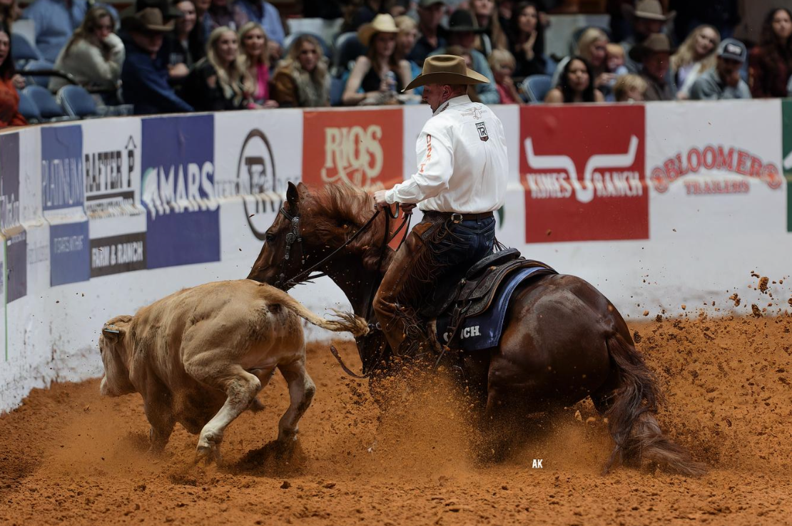 Cushings' $294K Earner and Reigning NRCHA Futurity Champion Reysmhigh Will SELL Feb. 11 in Select Online Sale