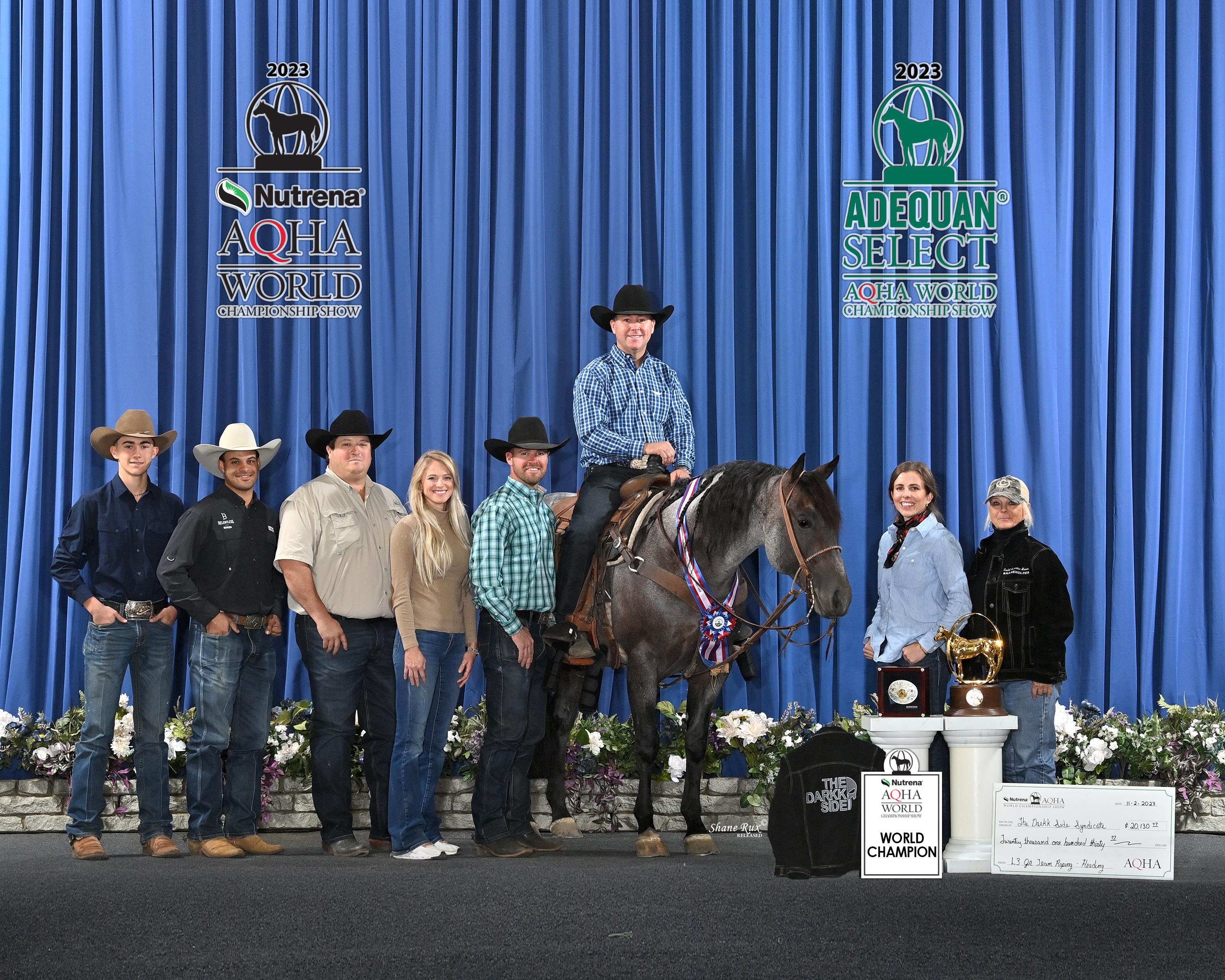 Limited Breedings to AQHA World Champion, The Darkk Side, Open Tonight at 5 pm