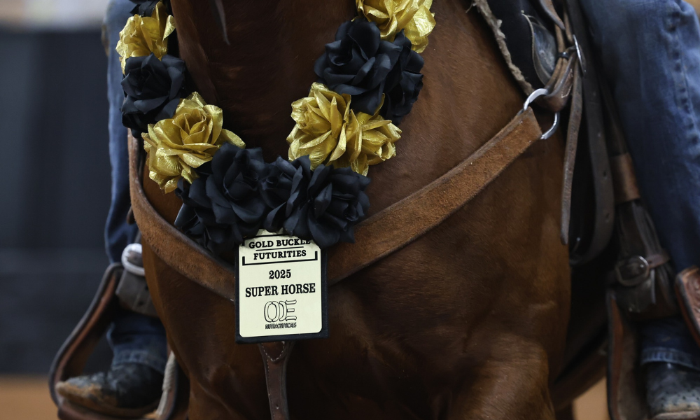 Gold Buckle Super Horse Metallic Hot Rose Proves What True Versatility Looks Like