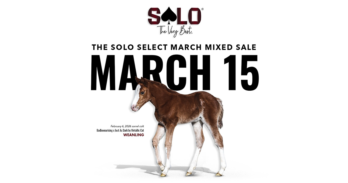 Movin Like Royce Tops Solo Select March Mixed Sale; Metallic Cattack 2-Year-Old Brings $45,000