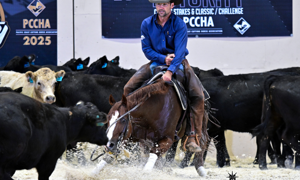 Double Down: LBR Hangem Splits PCCHA Title With Future Match Bella Louella