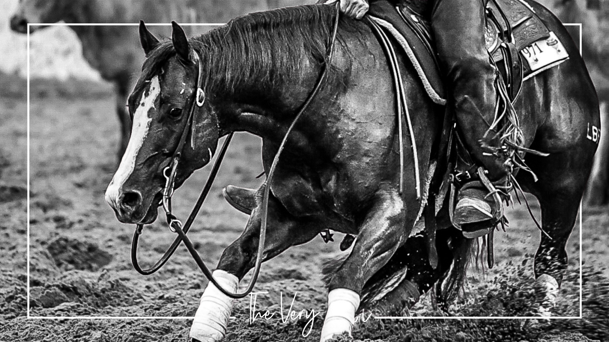 In True Form: LBR Hangem and Kenny Platt Named Reserve Champions at Breeder’s Invitational