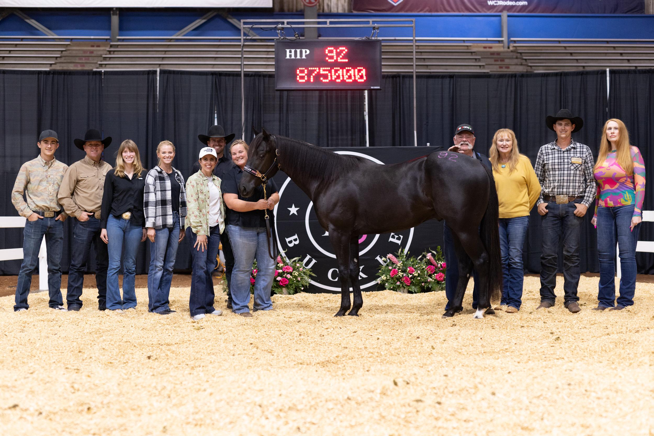 Solo Select, Relentless Remuda’s Stallion Blackkout Shatters Pink Buckle Sale Record at $875K