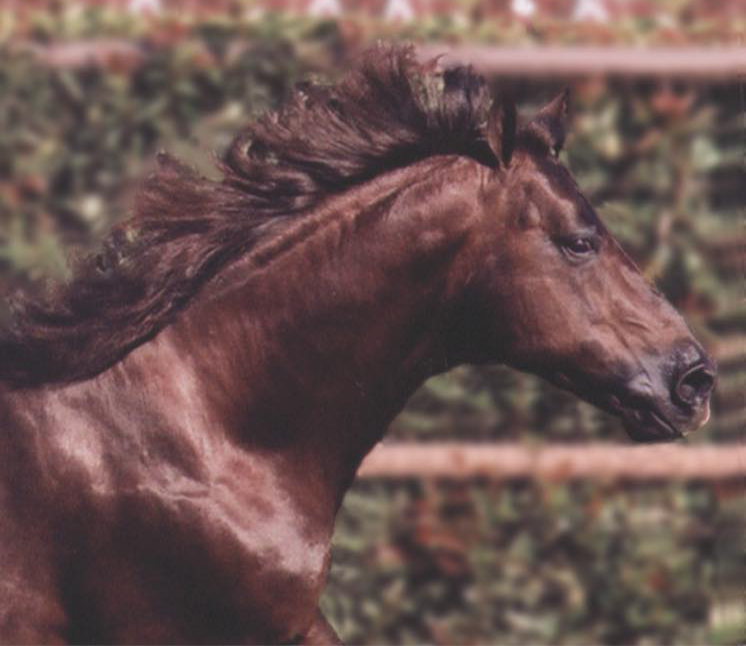 Frozen in Time: Selling Sunday, 1239 Straws of Smart Lil Ricochet Semen