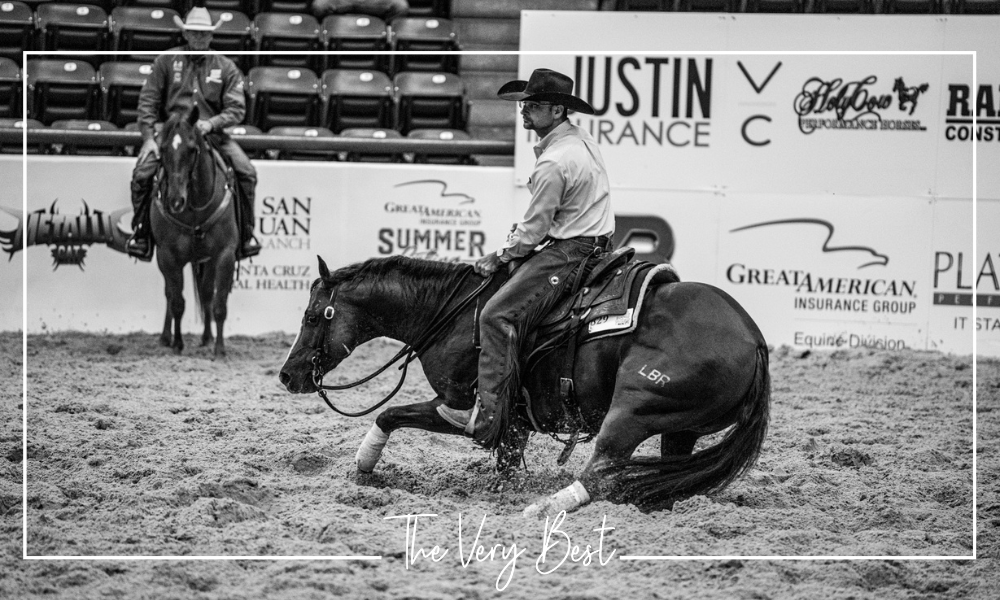 LBR Hangem Leads the Field at NCHA Summer Spectacular