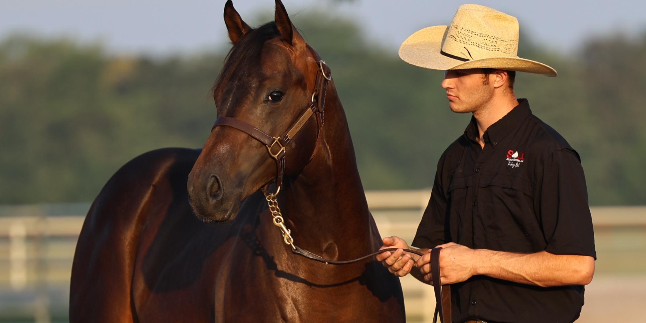 Elite Nutrition Meets Elite Competition at the Solo Select Futurity with ADM's GROSTRONG Feed & Mineral