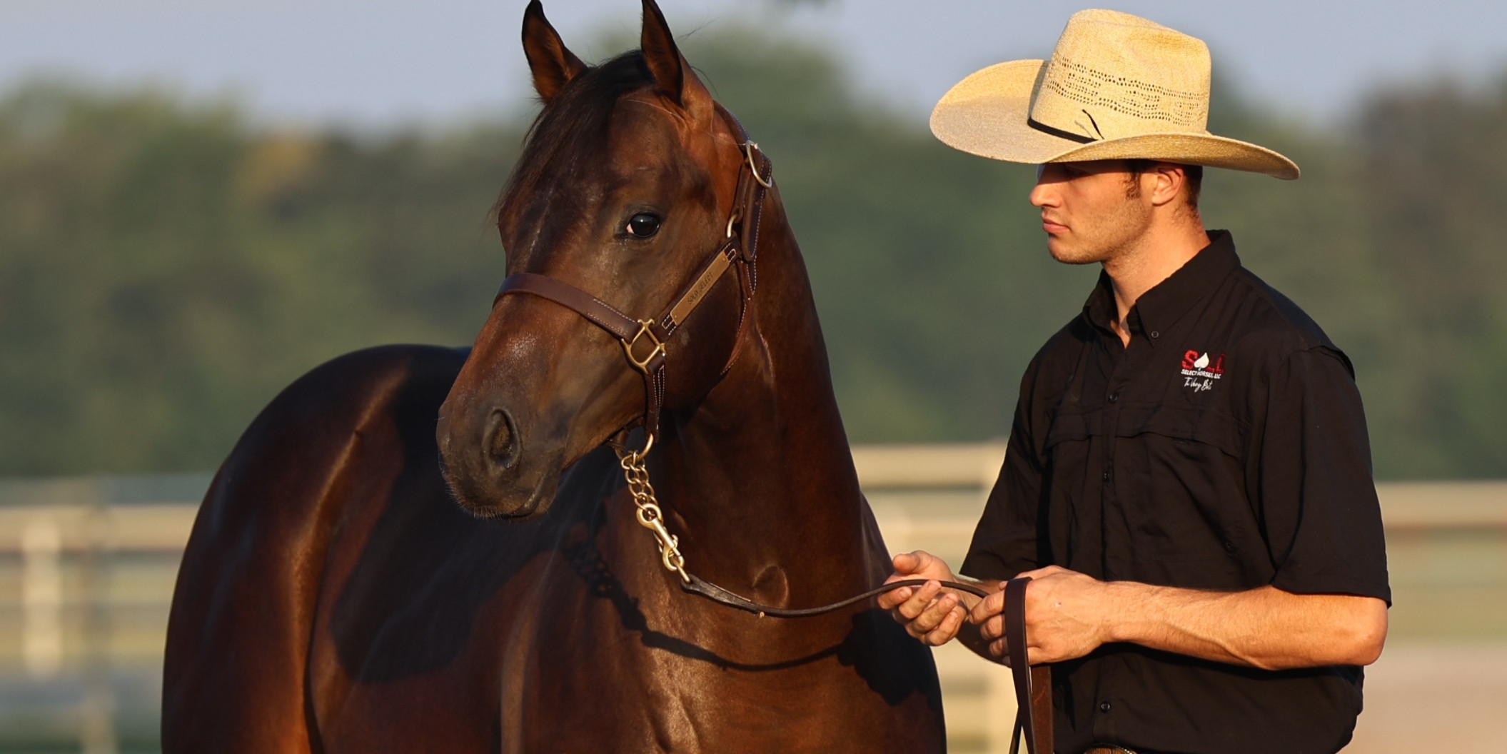 Elite Nutrition Meets Elite Competition at the Solo Select Futurity with ADM's GROSTRONG Feed & Mineral