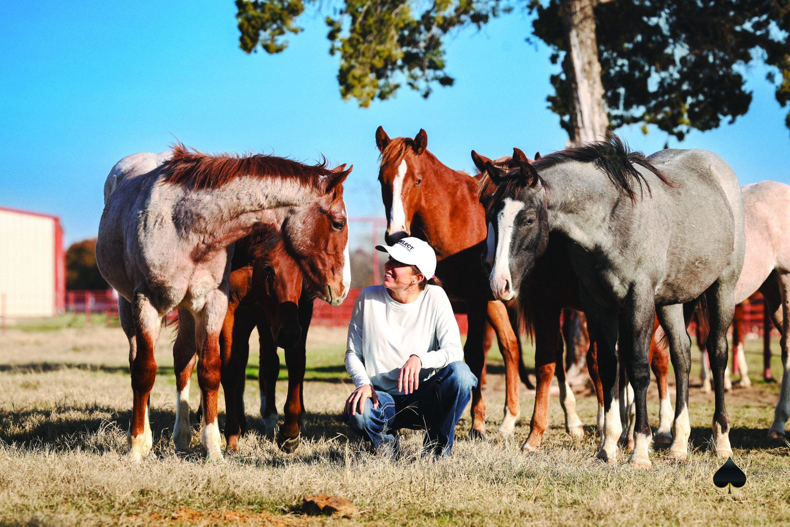ADM Animal Nutrition Partnership with Solo Select Will Develop Best-in-Class Feed Program
