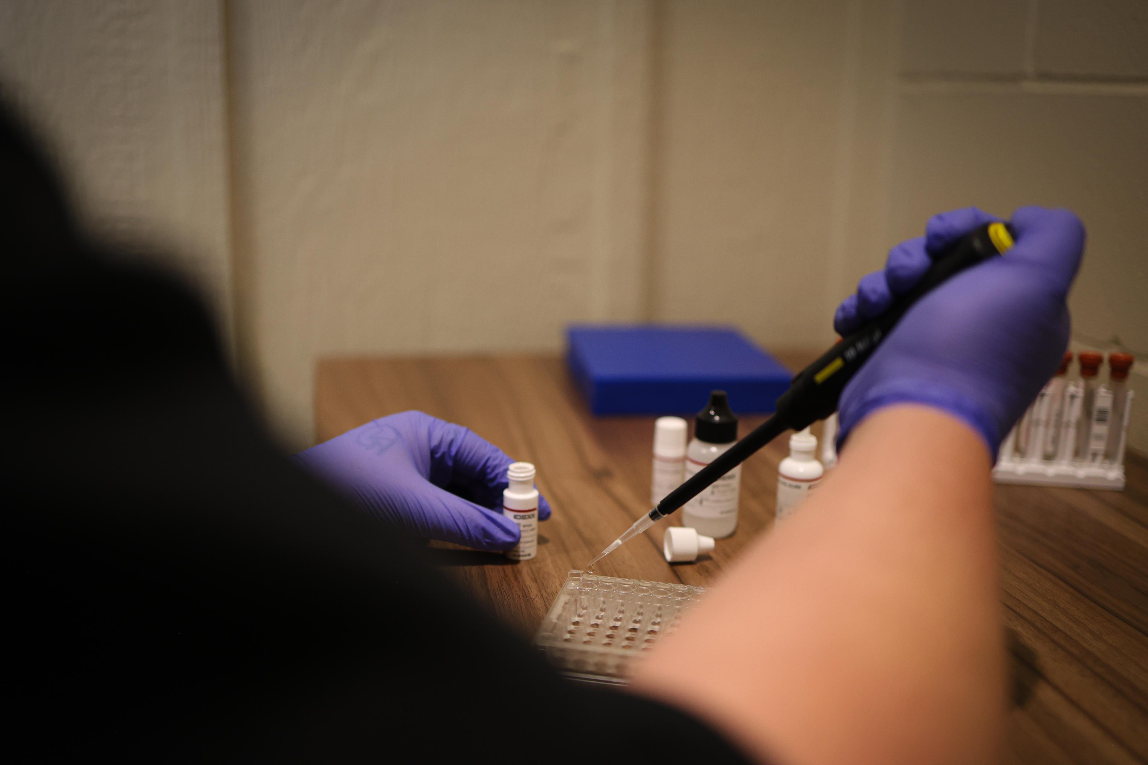 Solo Select Expands with USDA-Approved Coggins Lab & Advanced Equine Testing