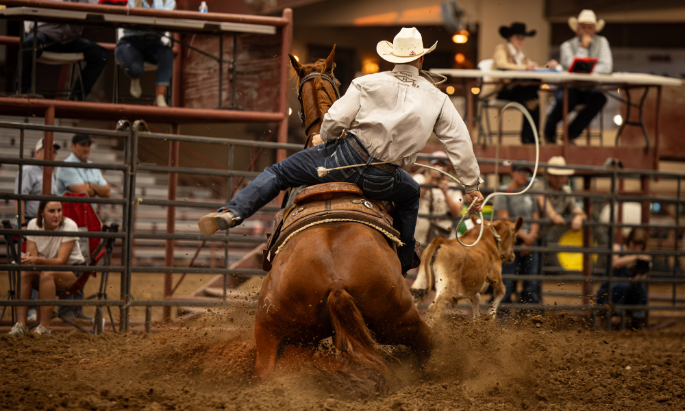 Metallic Cattack Gelding and Chance Thiessen Capture Solo Select Incentive Tie-Down Futurity Title