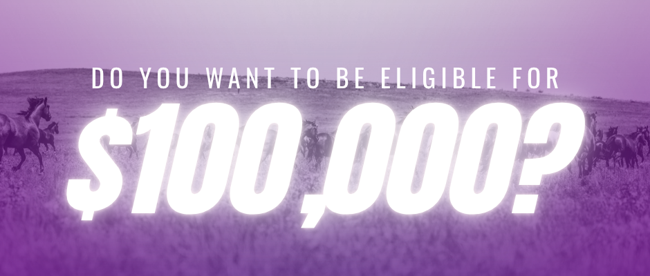 The $100,000 Recipient Mare Incentive Most NCHA Breeders Are Missing