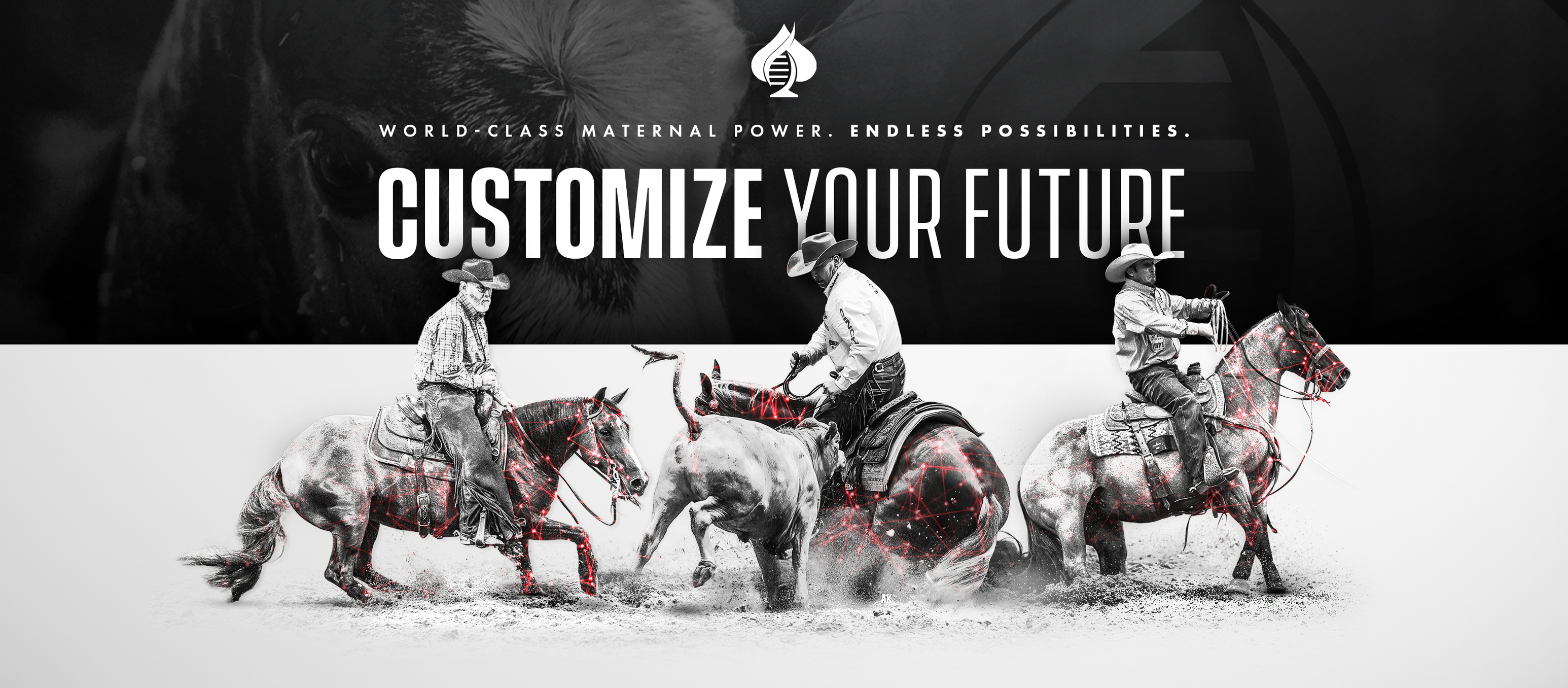 Inside Select Genes' 2026 Breeding Season