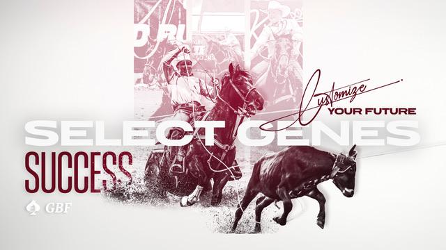 Select Genes Offspring Account for $87,505 and Highest Earning Dam at Gold Buckle Futurities Spring Event