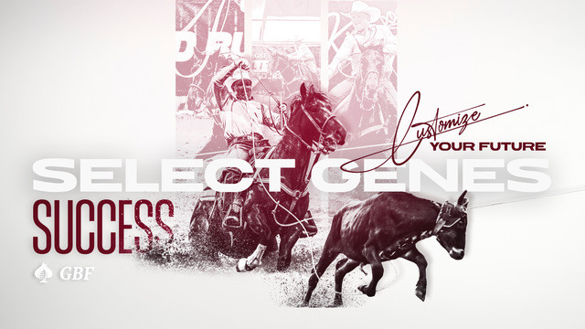 Select Genes Offspring Account for $87,505 and Highest Earning Dam at Gold Buckle Futurities Spring Event