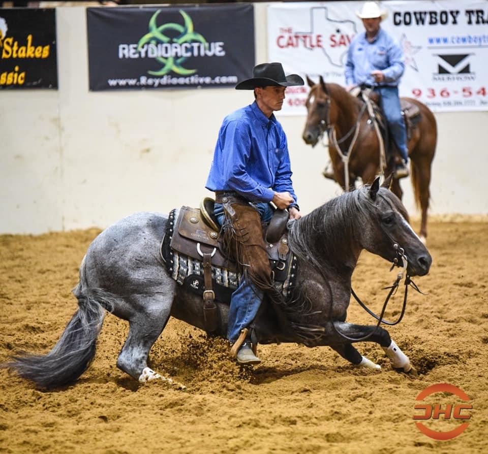 Royal Pedigree, Winning Resume: Rocky Mountain Blues, Earner of $142,194, to Sell Sunday