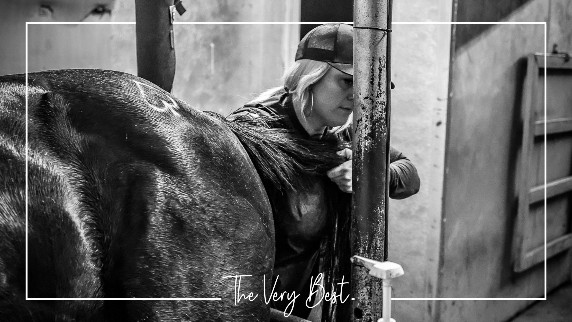 Recipient Mares Available—The Right Mare, Right On Time.