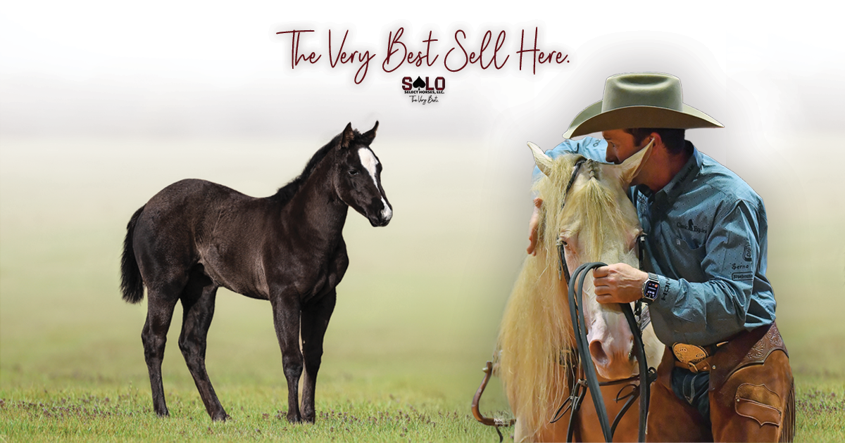 $360,000 Shakes The Western Industry In Latest Solo Flash Sale