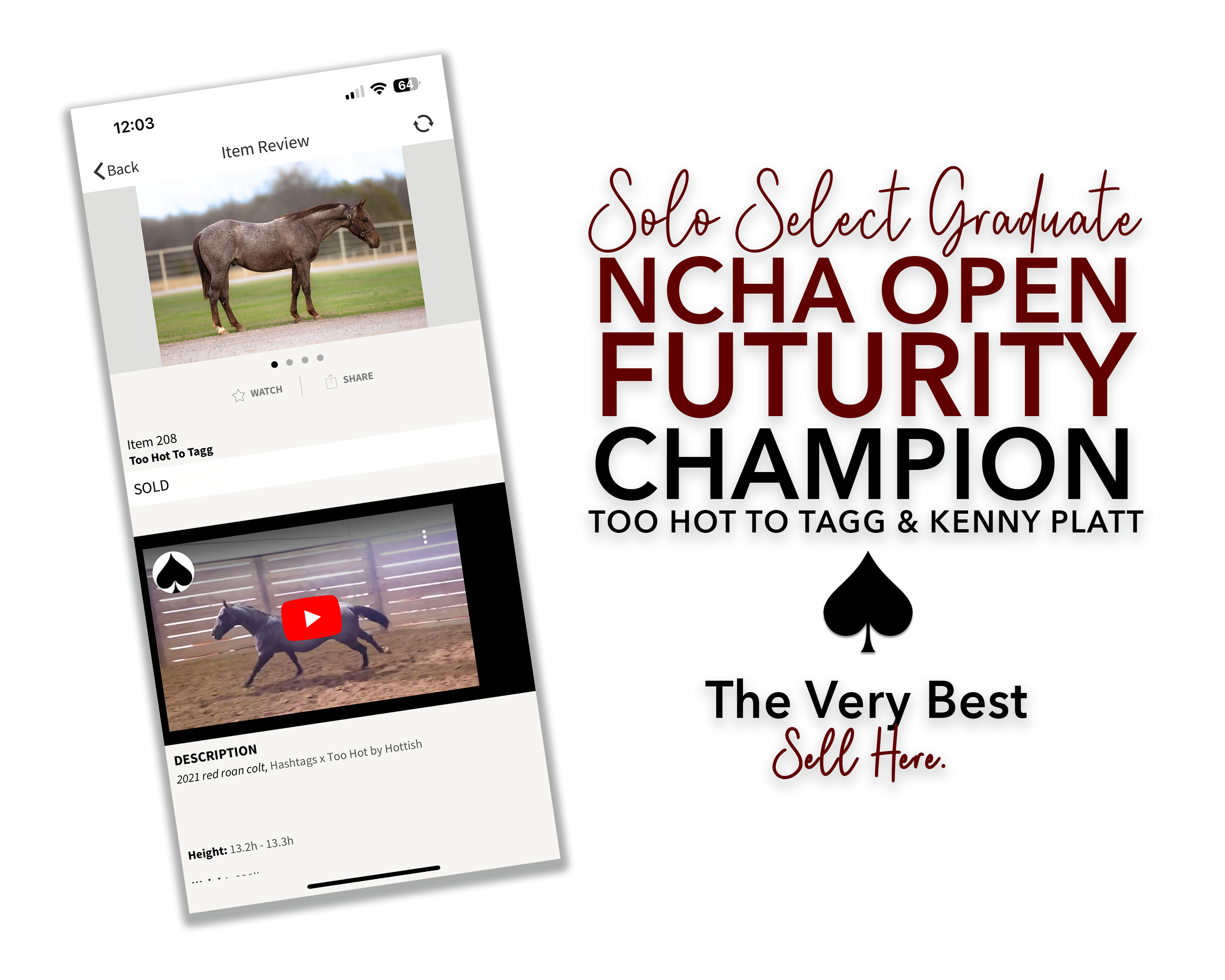 Too Hot To Tagg is The Very Best: Solo Select Graduate Crowned NCHA Open Futurity Champion