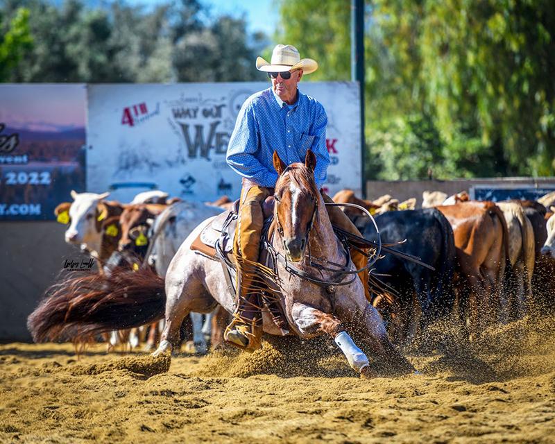 NCHA World Champion Stallion Metallics MVP to Stand at Solo Select for 2025 Season