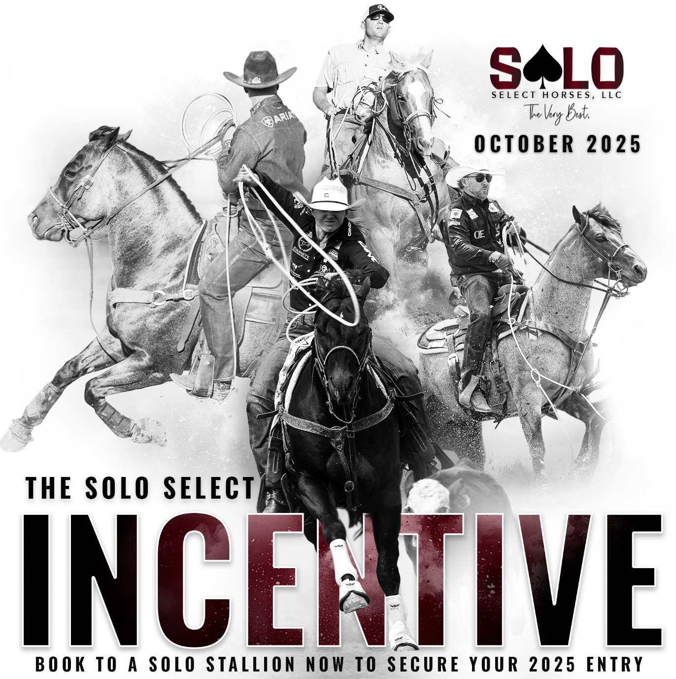 Added Money Surpasses $250,000 for Solo Select Stallion Incentive