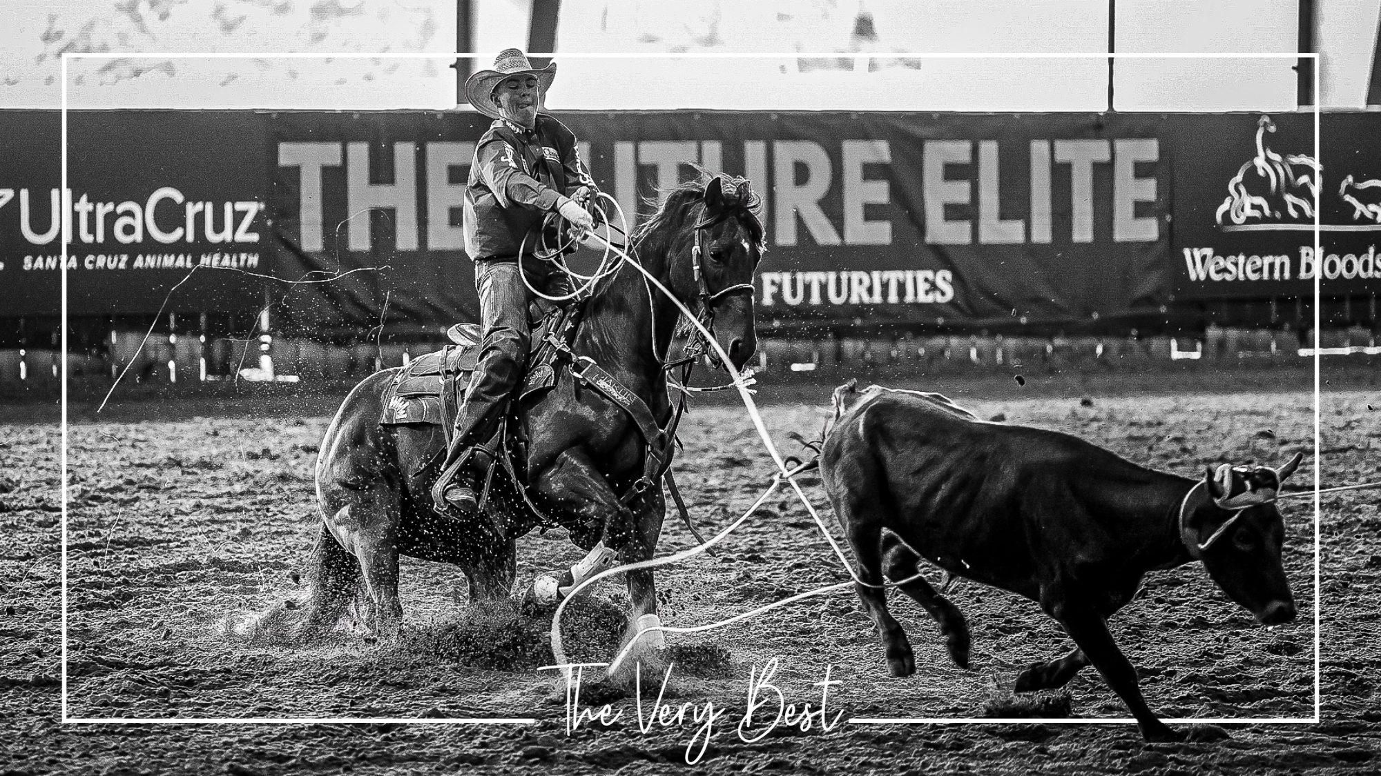 Gold Buckle Streak: Second Champion in a Row for Solo Select Stallions