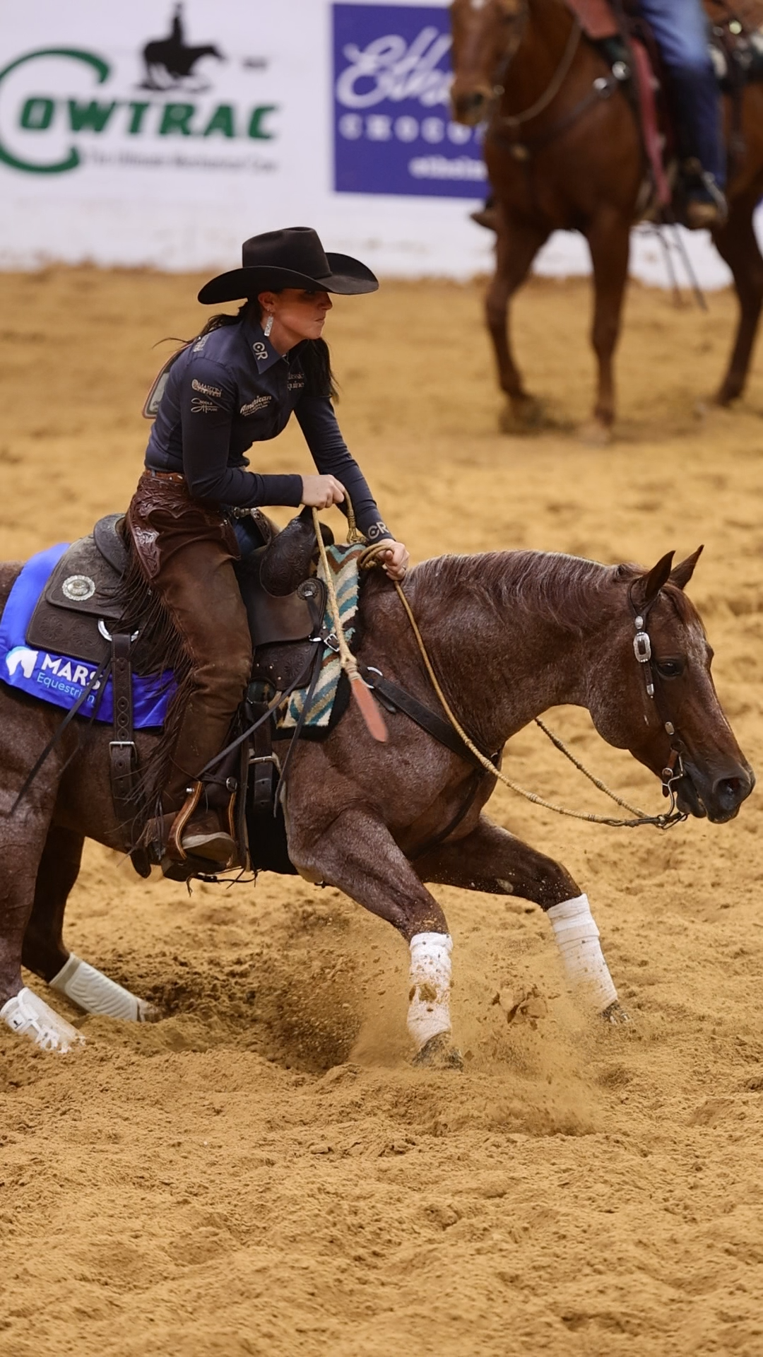 FULL Sibling to NRCHA World’s Greatest Horseman Champion Hazardouz Material Sells November 27