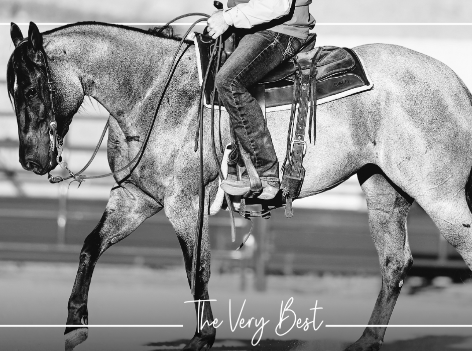 Solo, Relentless Remuda Send 5 Game-Changing Prospects to Fridays Old West Rope Horse Sale Eligible for $1 Million Bonus