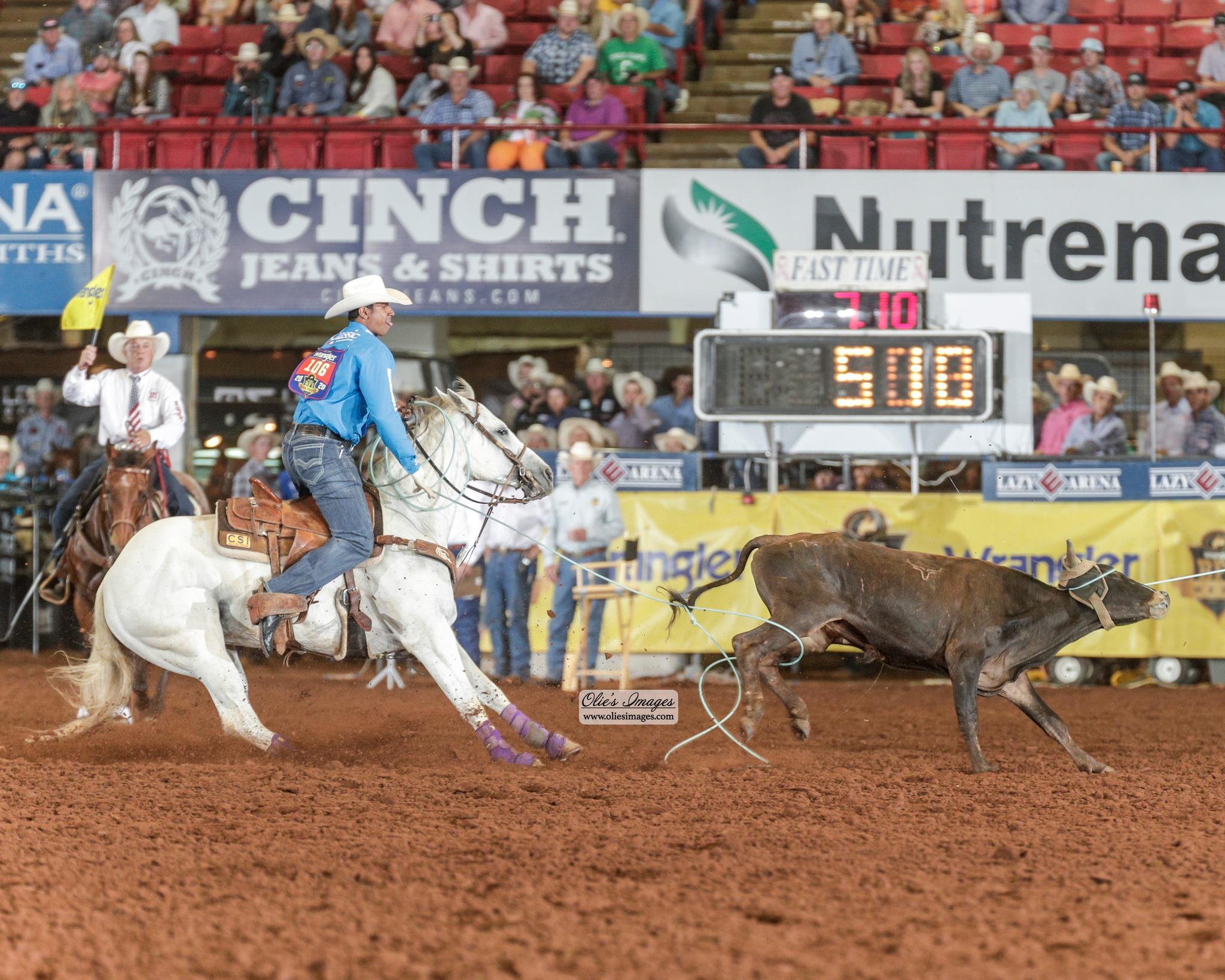 Solo Select Offers Embryo Out of Junior Nogueira's $750,000+ Earner Apache R Hali by Woody Be Tuff