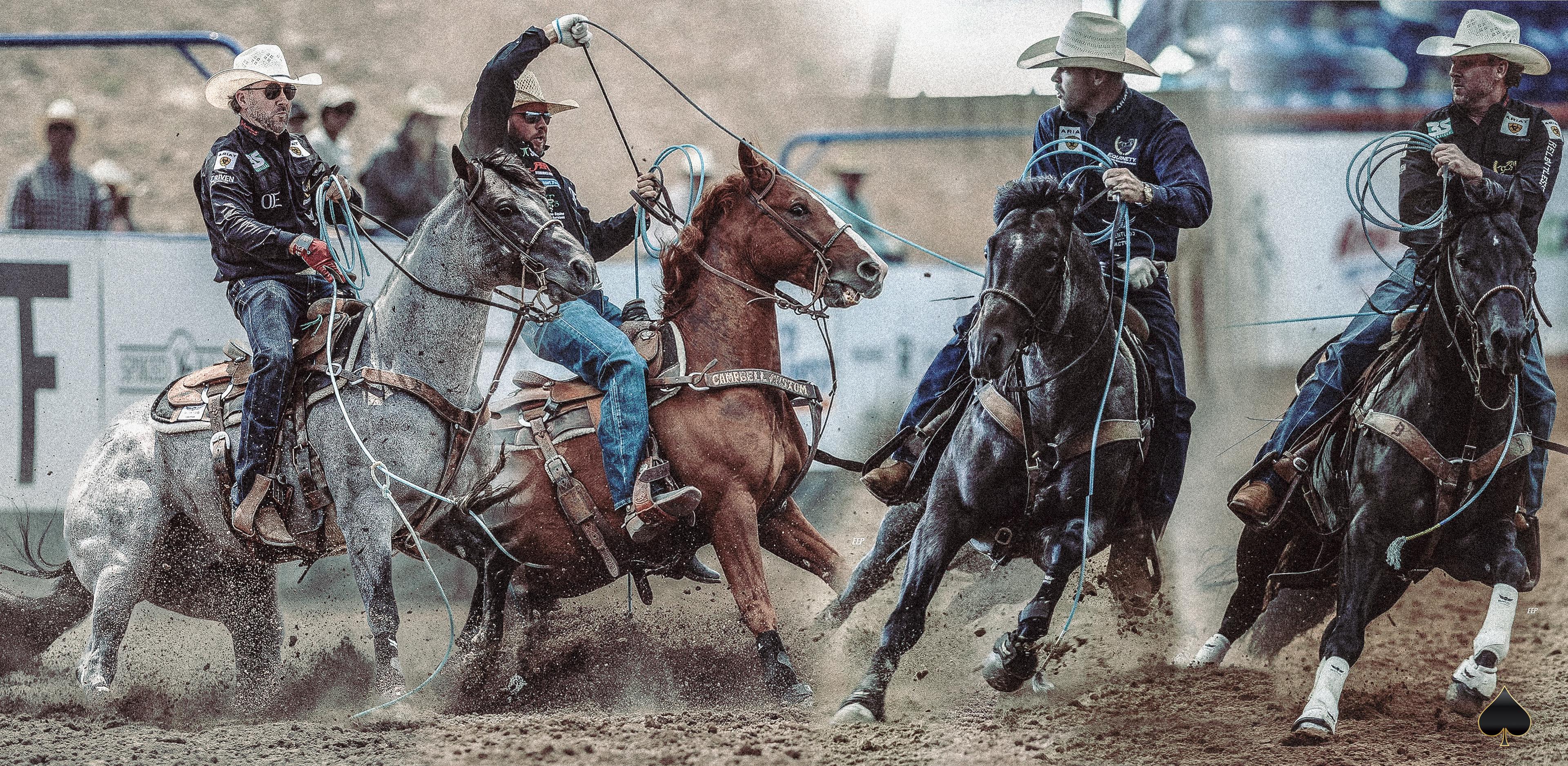 Solo Select Stallions Dominate Texas Best Rope Horse Derby