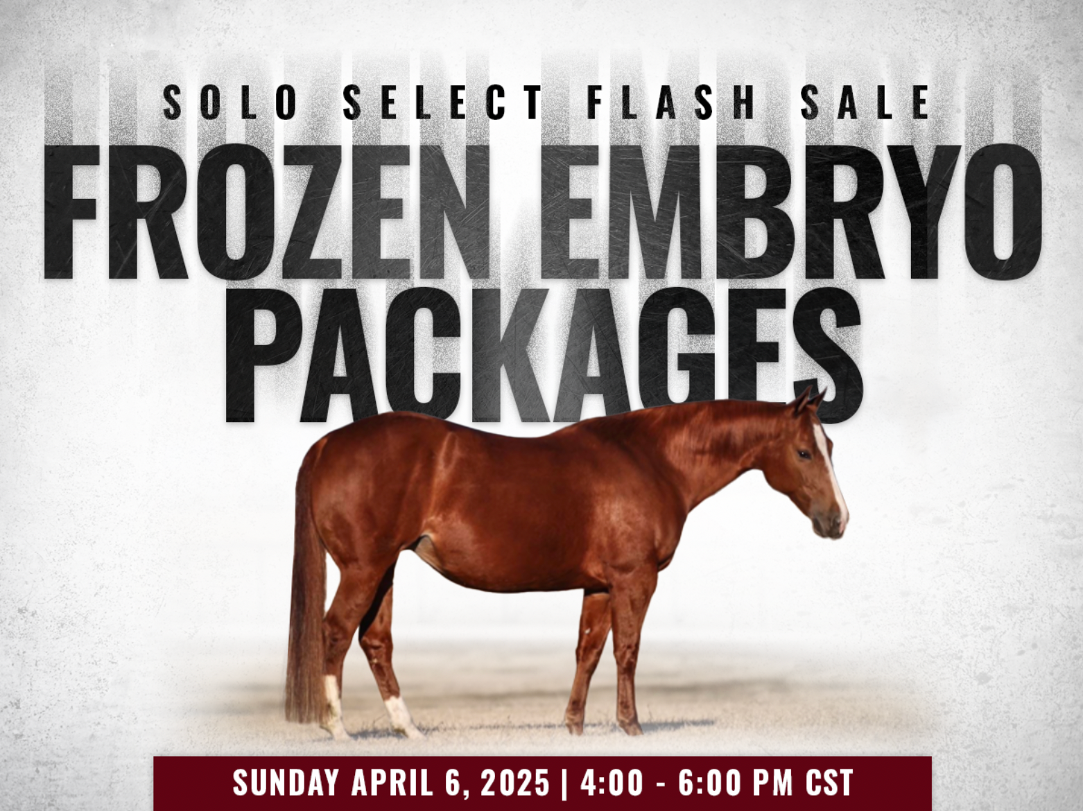 Solo Select’s Frozen Embryos are Hotter Than Ever