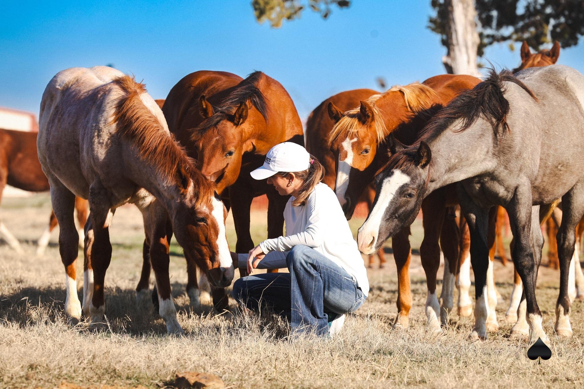 Podcast: Melanie Smith Breaks Down Breeding Logistics 101 in a Deep Dive