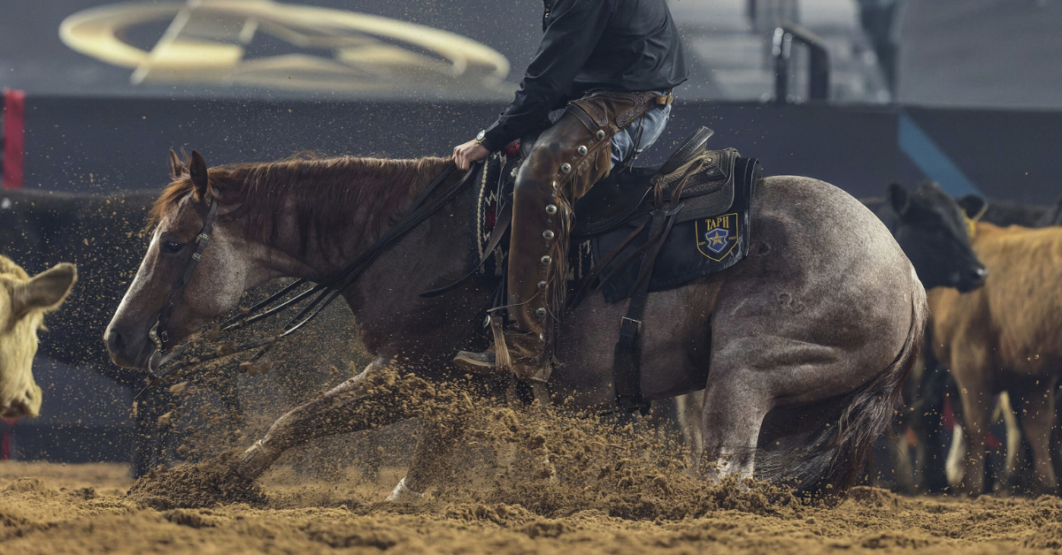 Meet Once In A Blu Boon Offspring–All Spice #TheSeries
