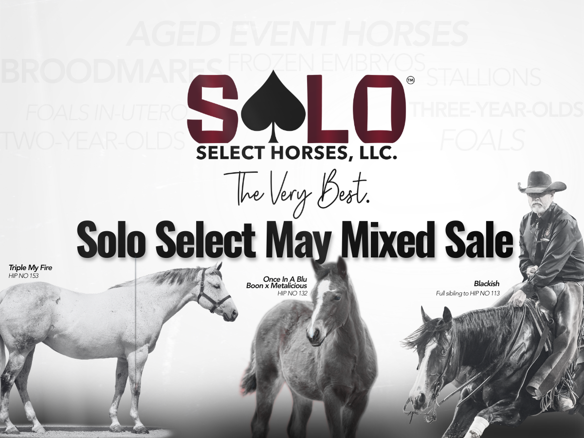 The May 31 Solo Select Sale Headlined by $2M-Plus in Producing Bloodlines