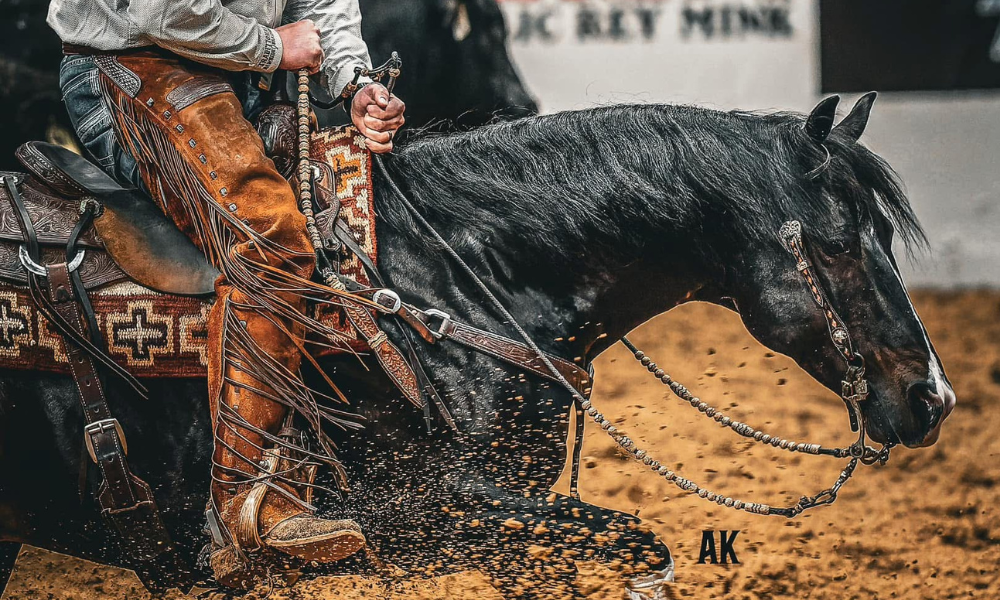 Safe Bet: Solo Select & 7K Welcome Hesa Dual Bet, Make Strong Move Into Reined Cow Horse Industry