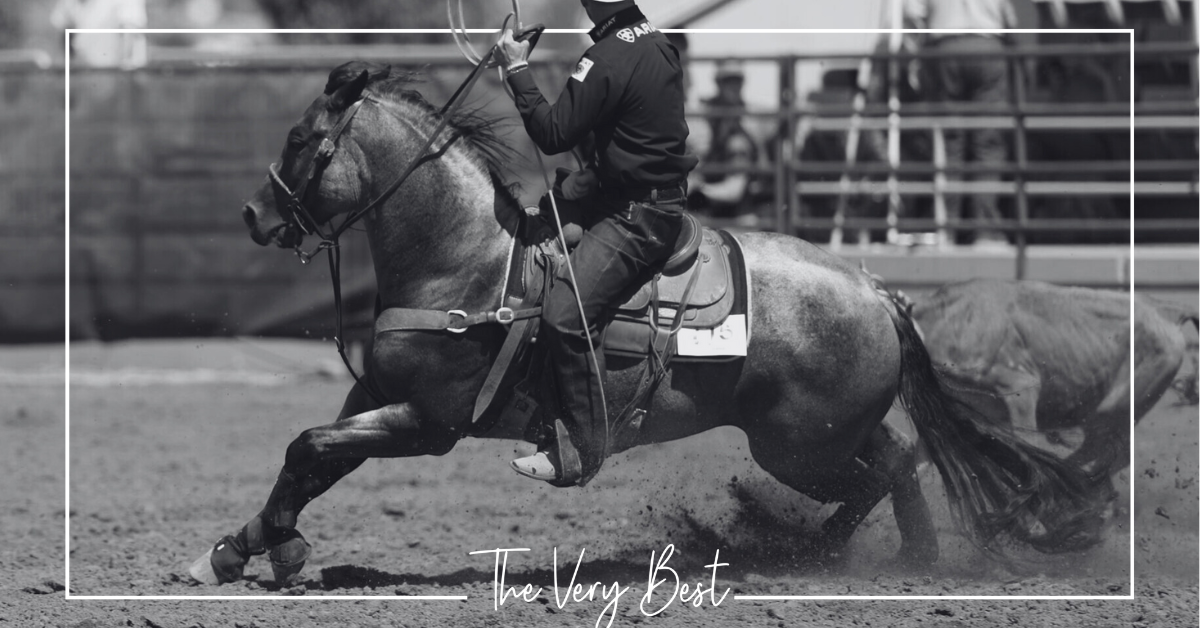 $400,000 Added to Solo Incentive : Solo Select Ready to Launch One of the Richest Rope Horse Futurities in the Game, Hosted at the Clay Logan Open