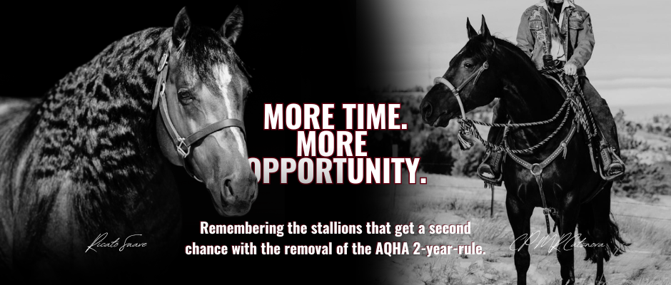 More Time, More Opportunity: Why AQHA's 2-Year Rule Change Matters