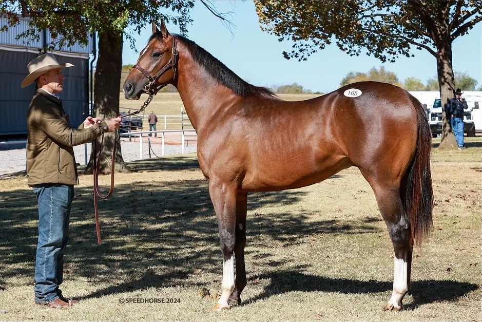 Solo Select's Apollitical Beau Tops Day 1 of Heritage Place Fall Mixed Sale 2024 at $115,000
